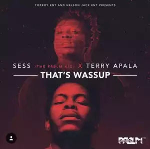 Sess - Thats Wassup Ft. Terry Apala